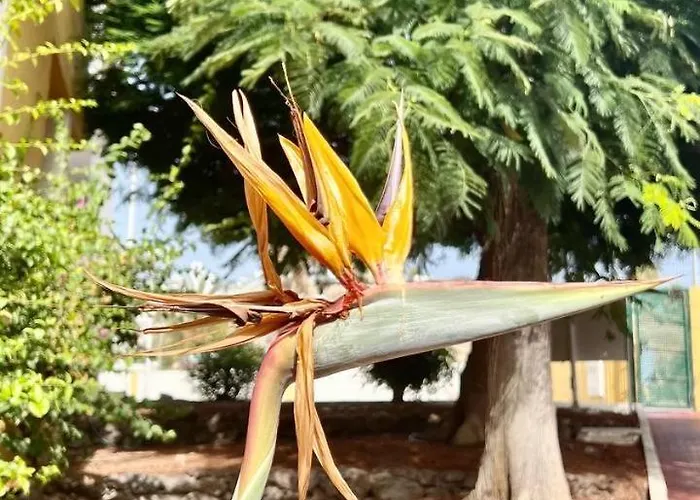 Cozy Two Bed Apartment. Адехе