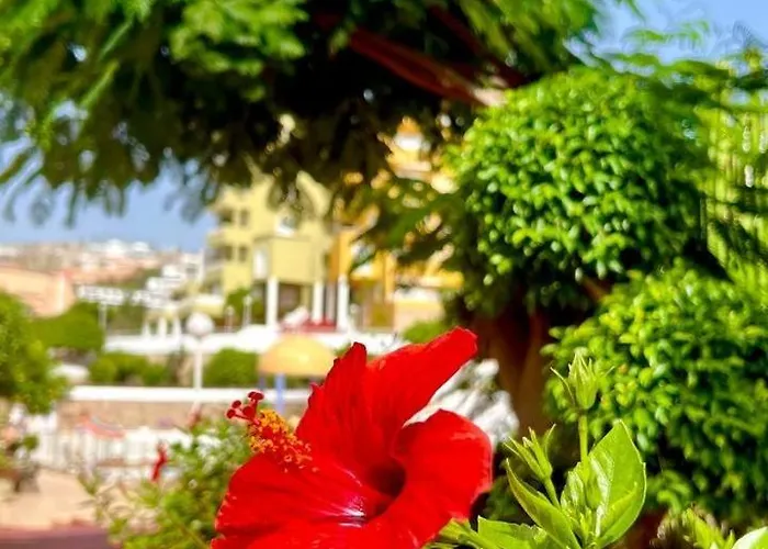 Cozy Two Bed Apartment. Апартаменты Адехе